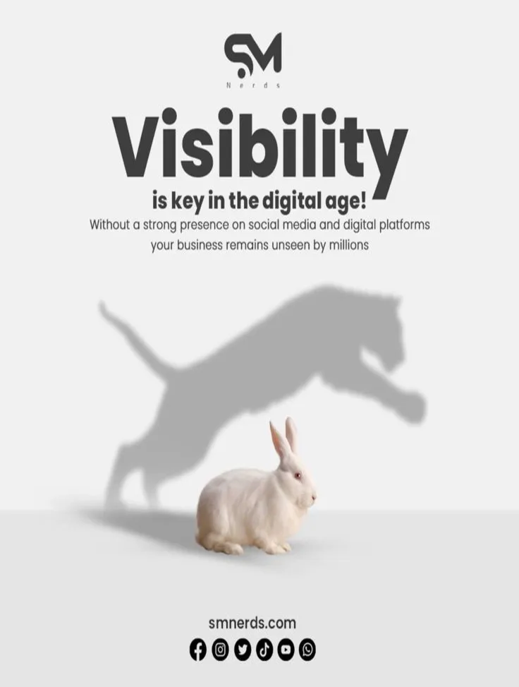 VISIBILITY a Kenyan Software Development